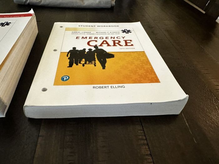 Emergency care 14th edition by daniel limmer