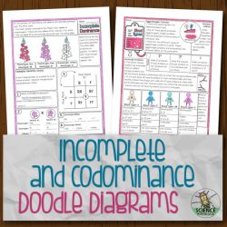 Incomplete and codominance worksheet answer key