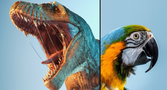 Shedding light on the dinosaur-bird connection answers key