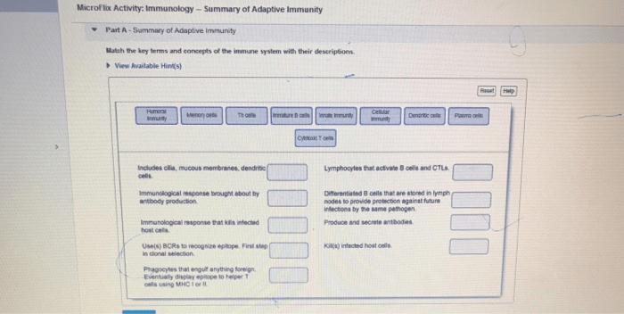 Microflix activity immunology infection and initial response