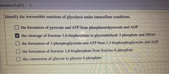 Glycolysis phosphate step hexokinase reaction glucose donor atp irreversible biochemistry second notes requires intracellular conditions activity under