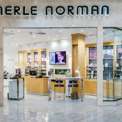 Merle norman cover up - medium light by merle norman