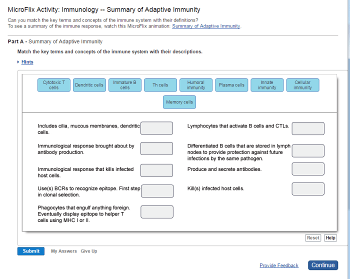 Microflix activity immunology infection and initial response